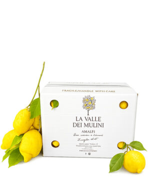 Box 5 KG Organic Lemons